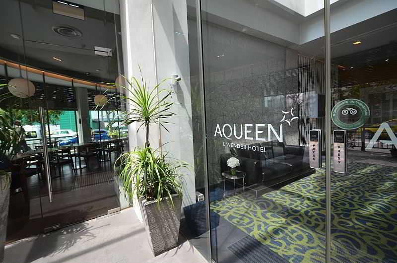 Aqueen Lavender Singapura